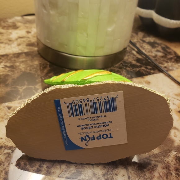 2 tropical fish π decor - Picture 3 of 12